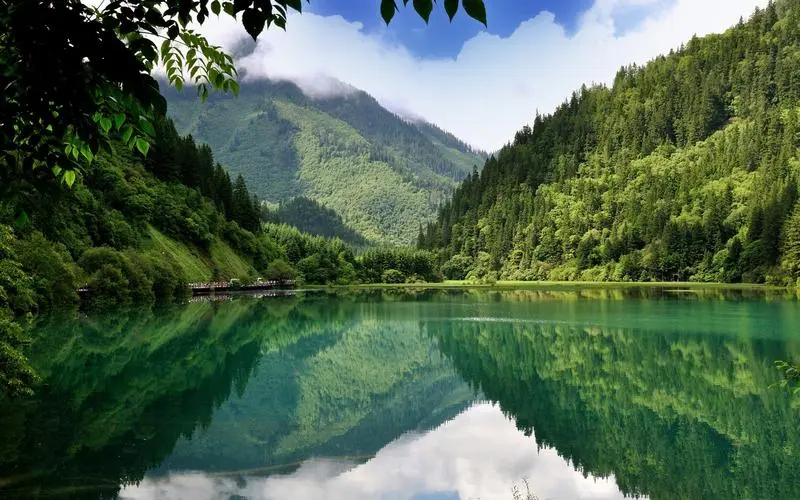 高效智能高端